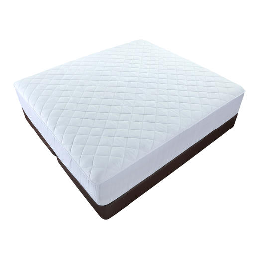 Sealy丝涟 床垫保护垫 仅限5个 商品图1