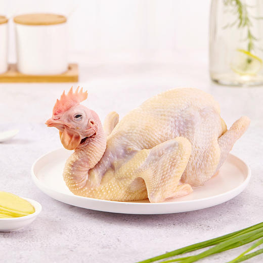 【巴拿马限定】原种臻品清远鸡礼盒 商品图1