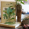 植物寓言（法国guojia图书馆精选100幅植物画 有故事的植物画，有历史感的植物之旅 发现自然  记录植物永恒之美） 商品缩略图2
