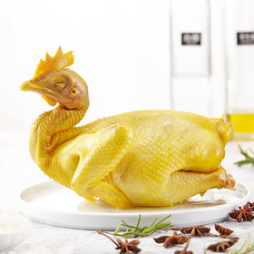 广府盐焗清远鸡800g  365天龄老母鸡