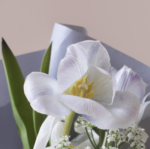 「花束」梦幻精灵 商品图2