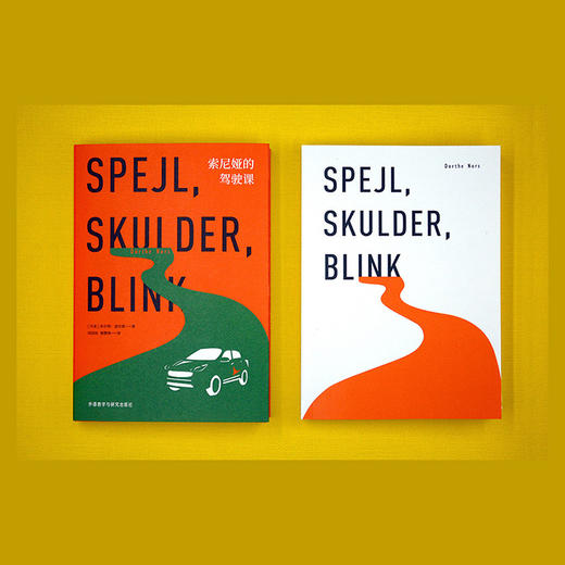 索尼娅的驾驶课 国际布克奖决选作品 被译为数十种语言 一位独立的现代女性对自我身份的审视与探寻 商品图2