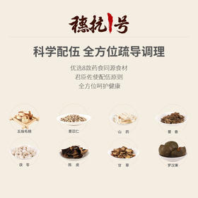 【广州特产，原产地发货】陈李济穗抗1号代用茶82g