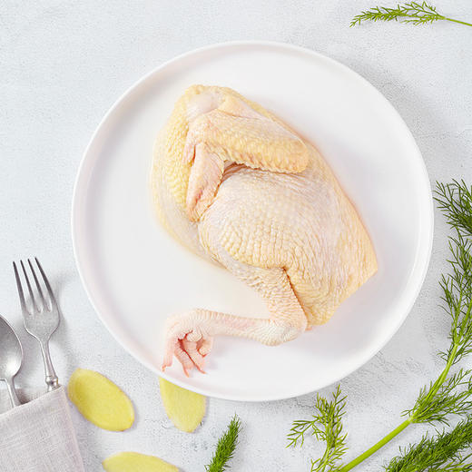 飞来峡土鸡750g 商品图2