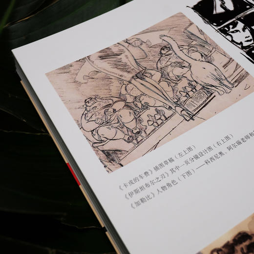 后浪正版 伊斯坦布尔之刃（阿斯图里亚斯国际漫画节短篇 欧洲经典冒险漫画的“离经叛道者” 不愿冒险的冒险家、无心见证的见证者 11个国家、11段意外的冒险） 商品图6