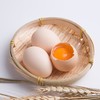 清远鸡初生蛋30枚/箱 清远鸡头窝蛋 商品缩略图4