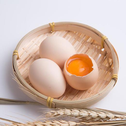 清远鸡初生蛋30枚/箱 清远鸡头窝蛋 商品图4