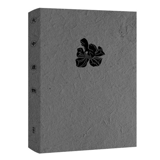 火中遗物 入选《波士顿环球报》2017年zui佳虚构作品 奇诡迷人的都市怪谈 哥特风短篇故事集 商品图2