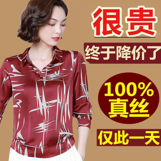 2020秋冬女装春装新款上衣连衣裙百搭打底衫女长袖雪纺衬衫t恤女 商品图0