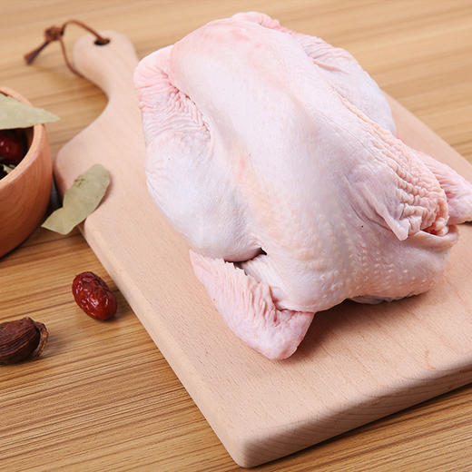 原种清远麻公鸡900g 商品图2