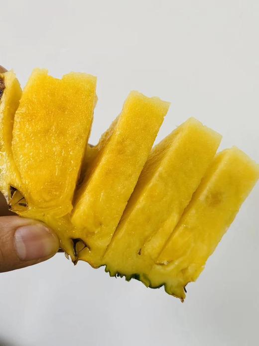 无冠都乐金菠萝大果约6枚箱包邮常温保存泛黄吃