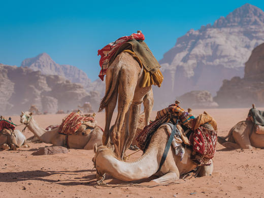 异域风情 | 约旦探秘之旅 8天7晚 商品图7