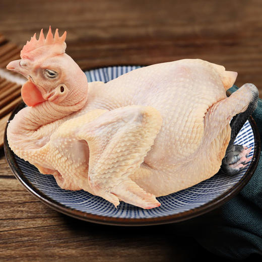 岭南黑脚土鸡1000g 商品图2