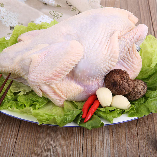 清远童子鸡600g 商品图1
