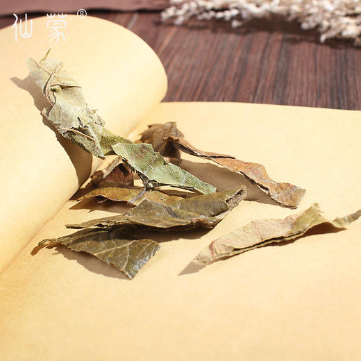 仙蒙 生枇杷叶500克 1kg 商品图3