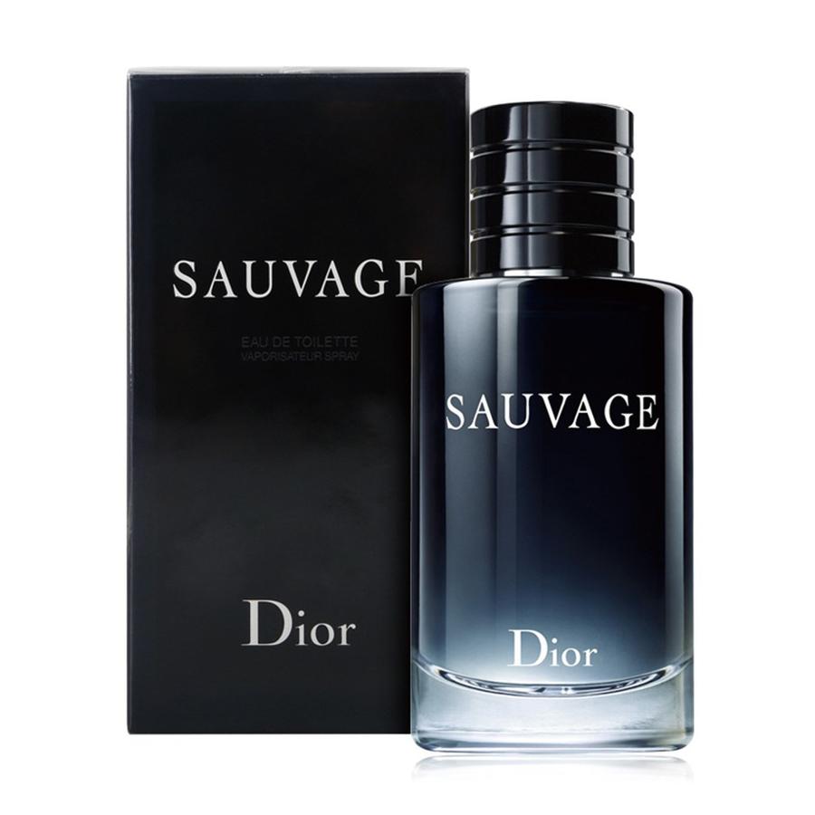 dior迪奥旷野男士淡香水100ml