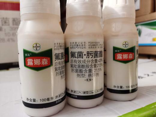 拜耳露娜森43氟吡菌酰胺肟菌酯悬浮剂预防白粉病等