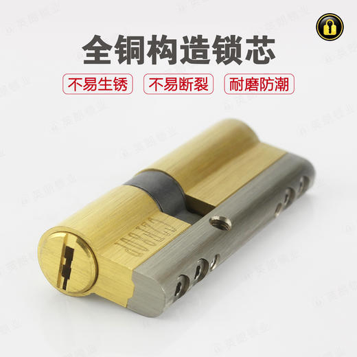 〖B436〗雪花神剑C级锁芯(90偏) 商品图1