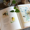 植物寓言（法国guojia图书馆精选100幅植物画 有故事的植物画，有历史感的植物之旅 发现自然  记录植物永恒之美） 商品缩略图5