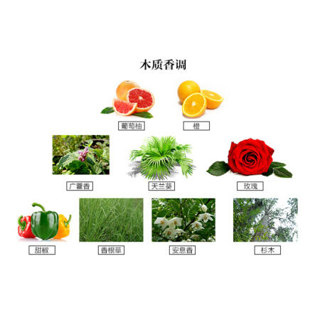 法国爱马仕大地中性男香 100ml（新老包装随机发货）【香港直邮】 商品图2