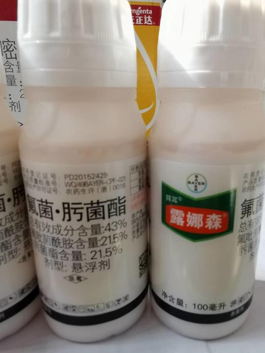 拜耳露娜森43氟吡菌酰胺肟菌酯悬浮剂预防白粉病等