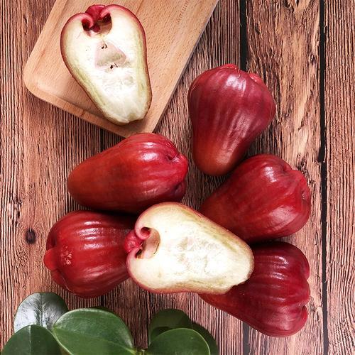 蜜风铃莲雾 大果 商品图4