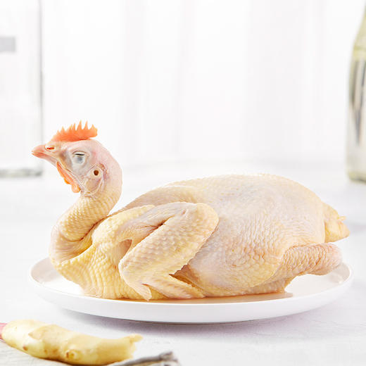 飞来峡土鸡750g 商品图0