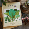 植物寓言（法国guojia图书馆精选100幅植物画 有故事的植物画，有历史感的植物之旅 发现自然  记录植物永恒之美） 商品缩略图1