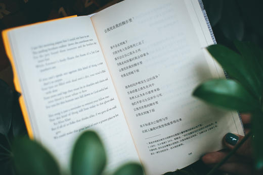 联邦走马 | 鲍勃·迪伦 薯片诗集 商品图3