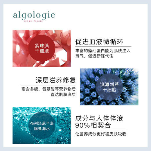 法国Algologie欧华妍海藻精粹面膜40ml补水保湿收缩毛孔YZ 商品图2