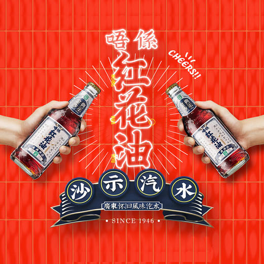 亚洲asia唔系红花油金典沙示汽水碳酸饮料325ml15瓶整箱