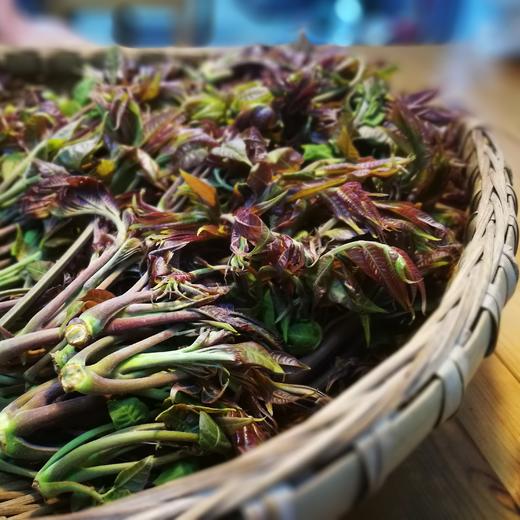 生态香椿 | 合作生产* eco-cedrela sinensis | coproduction