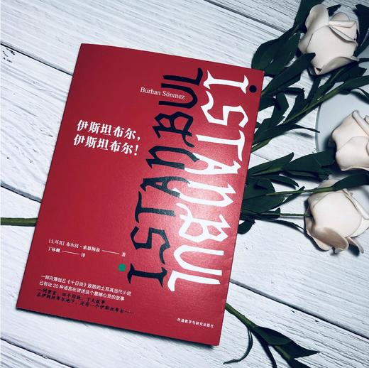 伊斯坦布尔，伊斯坦布尔！ 一部向薄伽丘《十日谈》致敬的土耳其当代小说 商品图4