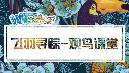 飞羽寻踪-- 观鸟课堂 商品图0