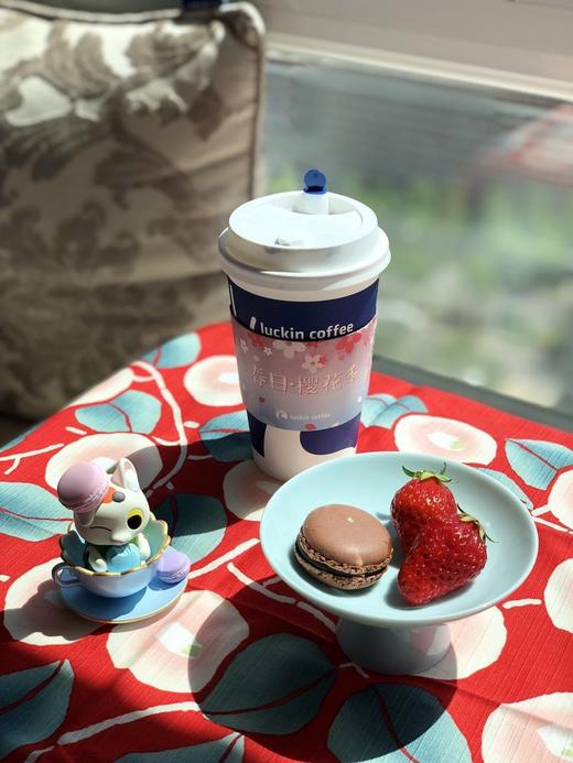 【打败天下无敌手】马卡龙 7只/罐 口味随机定期更换 只闪送，若有个别损坏还请见谅 商品图6