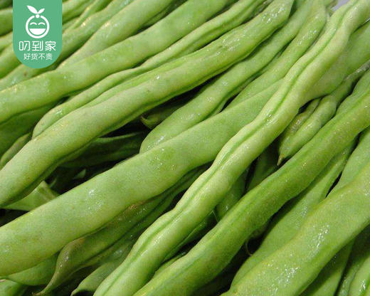 漳州新鲜四季豆/1份（1kg±50g） 商品图5