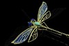 多米尼加蓝珀18K喷砂黄金镶钻蜻蜓胸针 绿松点缀 商品缩略图0