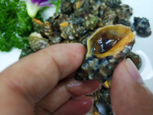 苦螺 /斤 商品图1