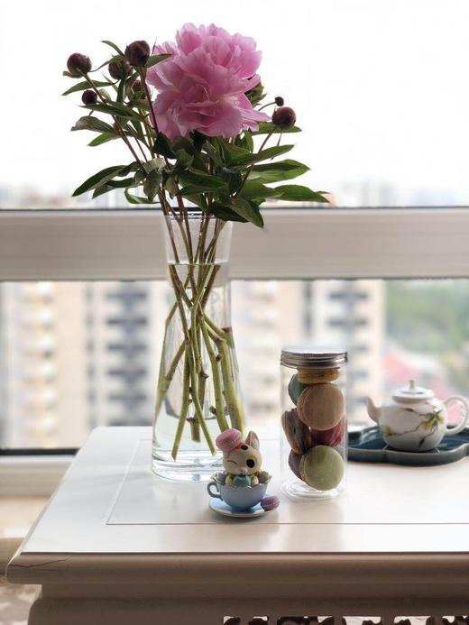 【打败天下无敌手】马卡龙 7只/罐 口味随机定期更换 只闪送，若有个别损坏还请见谅 商品图9