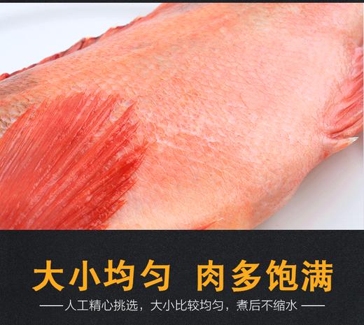 加拿大冷冻红鱼整条
500-700克/条
5kg/箱 商品图1