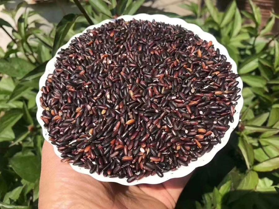 【秒杀活动】农家种植血糯米黑糯米5斤装36.9元包邮