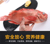加拿大冷冻红鱼整条
500-700克/条
5kg/箱 商品缩略图3