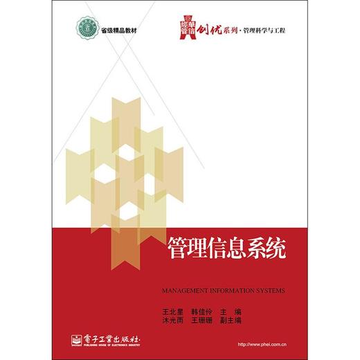 管理信息系统 商品图0