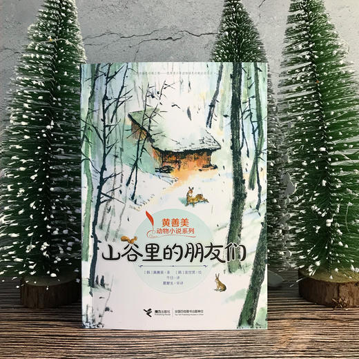 黄善美动物小说系列 山谷里的朋友们 商品图1