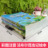 法布尔昆虫记全10册 彩绘注音版 适合3-9岁 书中每一个故事 都力求生动有趣 每一幅画面 都力求栩栩如生 以童话形式完美演绎每一只昆虫的内心世界 将故事与知识完美结合 商品缩略图1