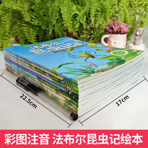 法布尔昆虫记全10册 彩绘注音版 适合3-9岁 书中每一个故事 都力求生动有趣 每一幅画面 都力求栩栩如生 以童话形式完美演绎每一只昆虫的内心世界 将故事与知识完美结合 商品图1