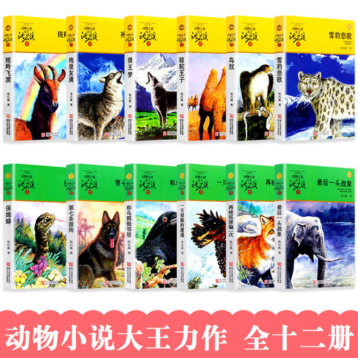 沈石溪动物小说全集 全套12册 全系列的书 狼王梦正版包邮 第七条猎狗经典书籍 小学生 保姆蟒 四五六年级 最后一头战象 斑羚飞渡 商品图2