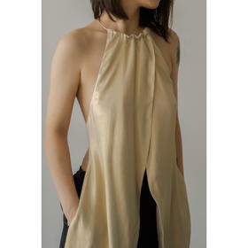 CG｜Bianca TOP [真丝项圈露背上衣]