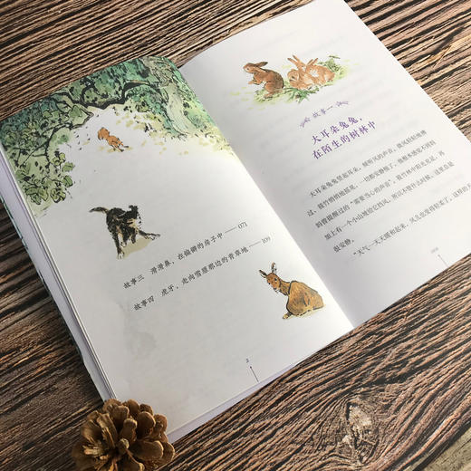 黄善美动物小说系列 山谷里的朋友们 商品图3
