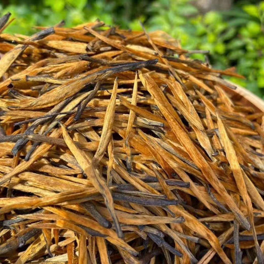 2024特大【大金针】单芽  凤庆明前头采大金针！ 商品图10